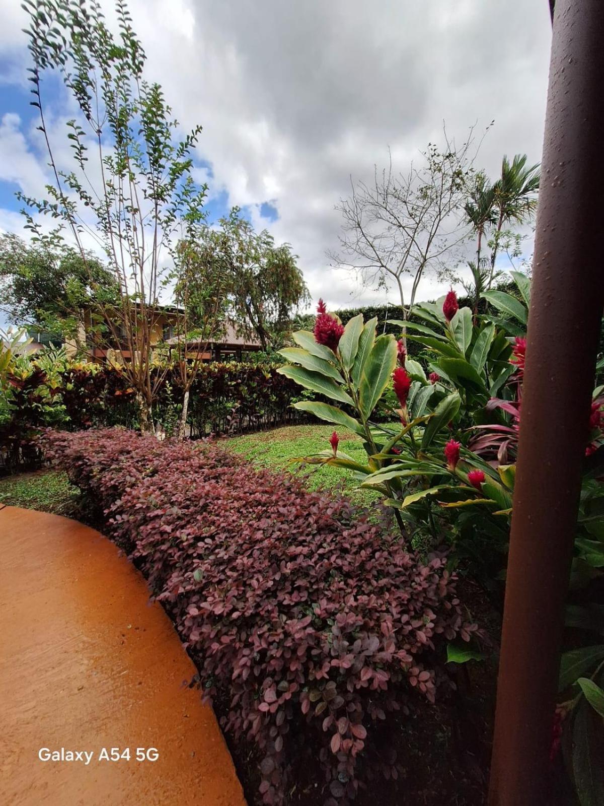 Iris Arenal Hotel La Fortuna Екстериор снимка